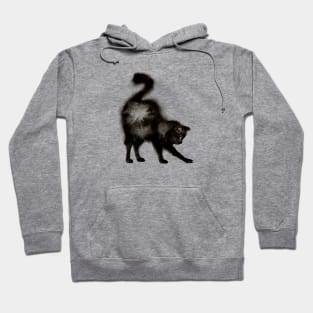 Stretching Black Fluffy Cat Hoodie